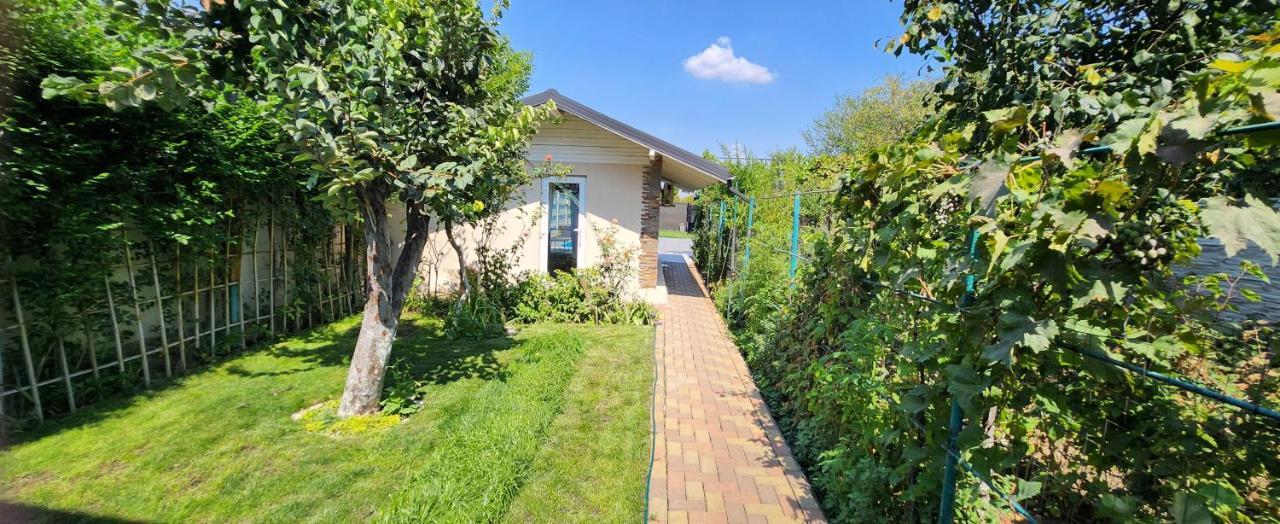 Morii Lake Pool Villa Bucureşti Ngoại thất bức ảnh